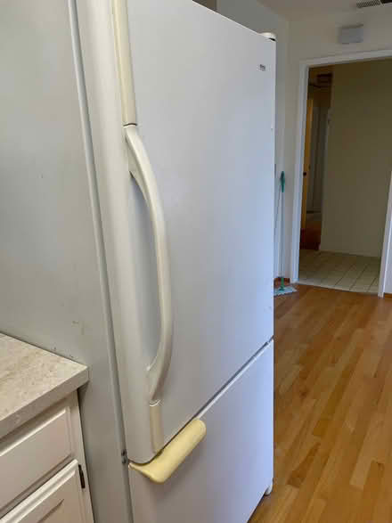 Photo of free Kenmore refrigerator (Saratoga Village) #2