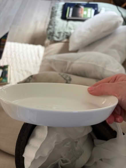 Photo of free Six white dishes (Mortlake SW13) #1