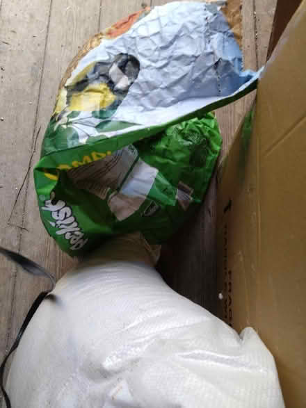 Photo of free Several kilos of bird food. (Wallands Park BN7) #2