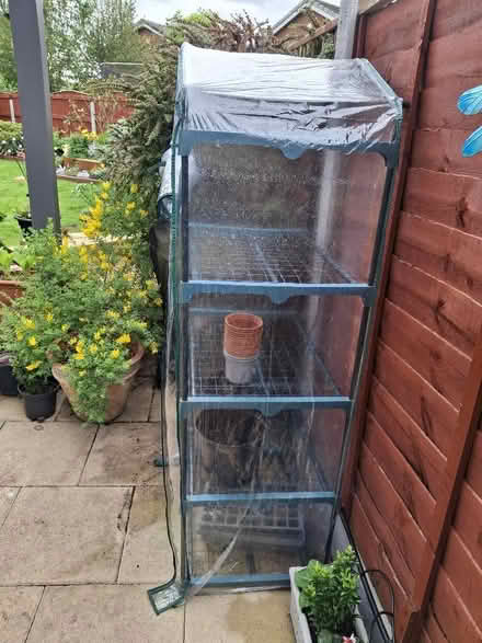 Photo of free Poly type green house (Woolston WA1) #2