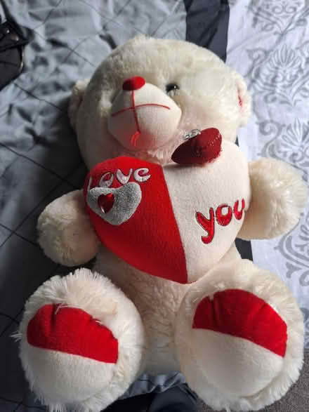 Photo of free I love you teddy (S137TR) #1