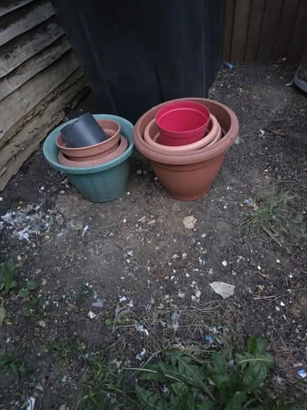 Photo of free Quite a Few Plant Pots 🪴 (Sandy SG19) #2