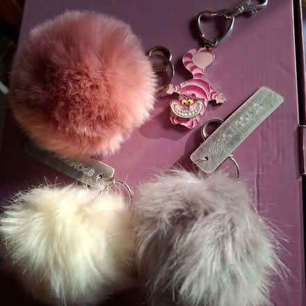 Photo of free Keyrings (Emmbrook RG41) #1