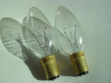 Photo of free Light bulbs 40W small bayonet x2 (IP8) #1