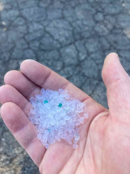 Photo of free Pet Stuff (Ypsilanti Township) #4