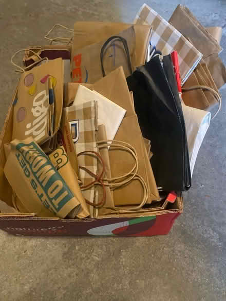 Photo of free Large box of paper bags (Winston Churchill/collegeway) #1