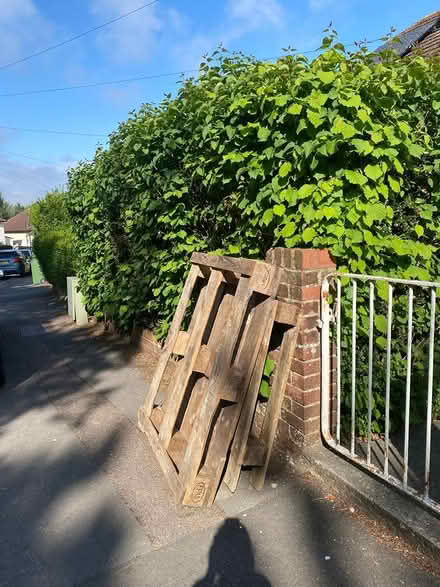 Photo of free Pallet (Headington OX3 9D) #1