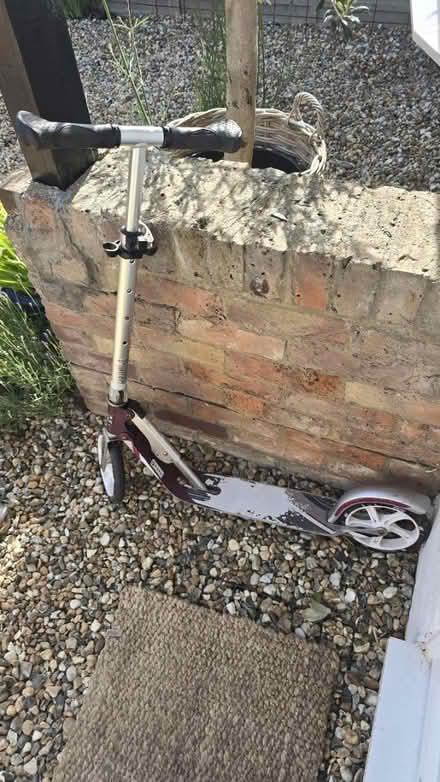 Photo of free Junior scooter (CT5) #1