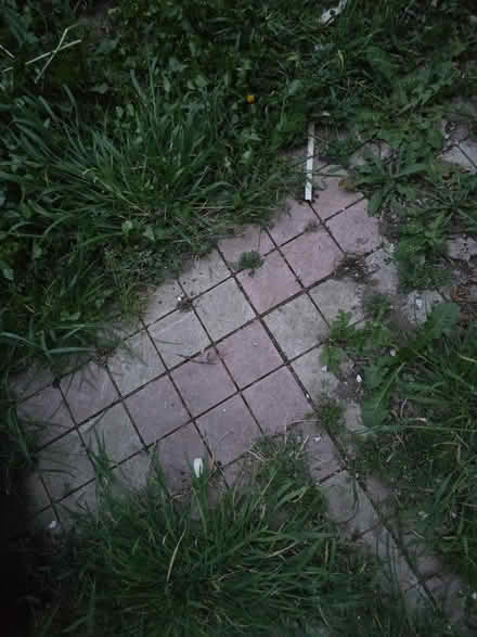 Photo of free Plastic Patio Tiles Paving Garden (Sandy SG19) #1
