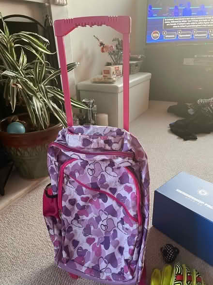 Photo of free Kids trolley bag (Holyport SL6) #1