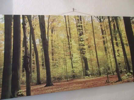 Photo of free Canvas picture (Oswestry SY11) #1