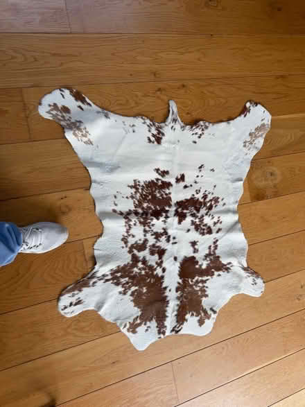 Photo of free Small cow’s skin (Cumnor OX2) #1