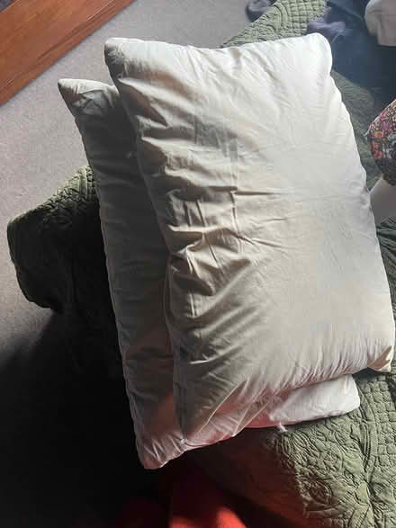 Photo of free Feather pillows x2 (Gleedless (S12)) #1