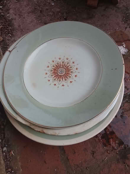 Photo of free Small Plates (Landport BN7) #1