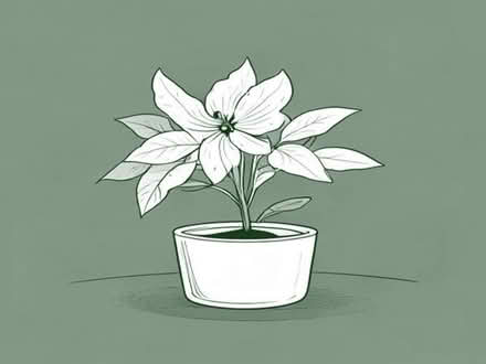 Photo of free Clematis fertiliser. (New Normanton DE23) #1