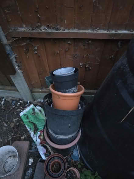 Photo of free Quite a Few Plant Pots 🪴 (Sandy SG19) #1