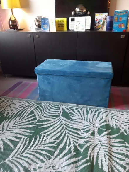 Photo of free Storage chest and polypropylene mat (Penrith CA11) #2