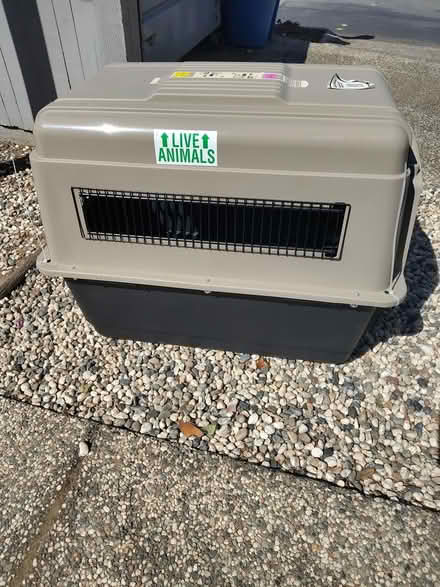 Photo of free large dog travel crate (downtown novato) #2