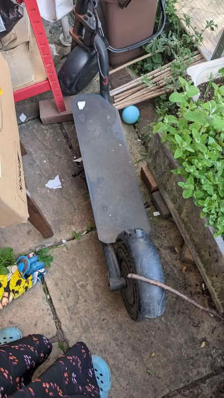 Photo of free Scooter (Mill Hill, The Hale HA8) #2