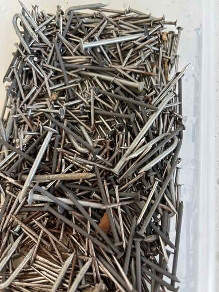 Photo of free Panel pins and nails. (Bexleyheath DA6) #1