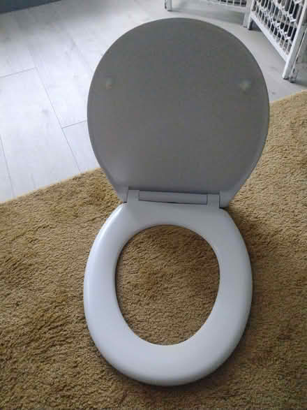 Photo of free White toilet seat (no fittings) (Crookes S10) #3