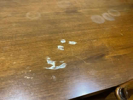 Photo of free 7 piece dining set (Highett) #3