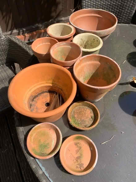 Photo of free 1st batch small terracotta pots (Chiswick) #1