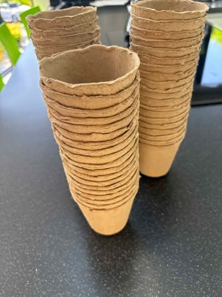 Photo of free 50 degradable pots (Wickford) #1