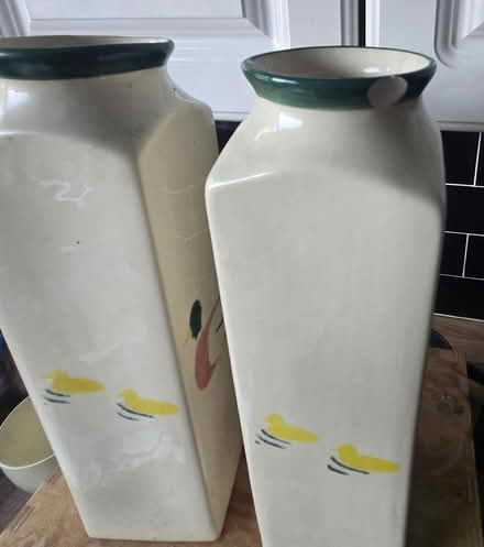 Photo of free Duck Vases (Aldershot GU12) #3