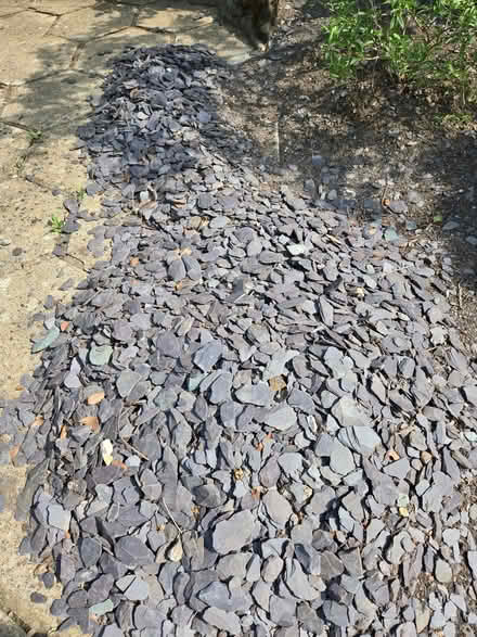 Photo of free Blue/grey slate chips (Halton HP22) #1