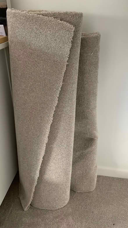Photo of free New thick pile carpet pieces (Westdene BN1) #1