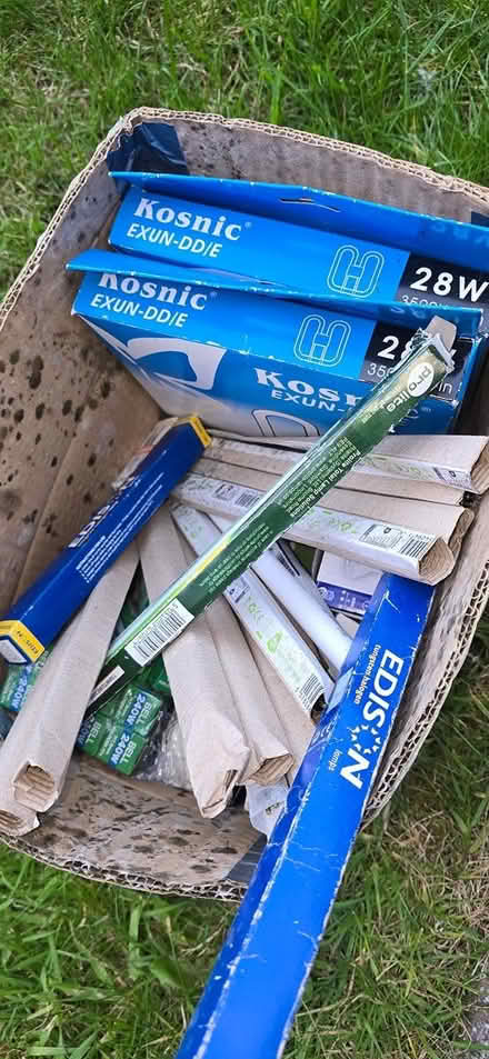 Photo of free Assorted bulbs/lamps (Brierley Hill DY5) #1