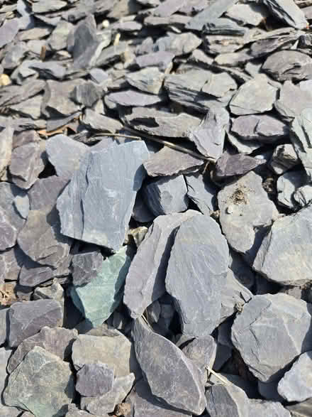 Photo of free Blue/grey slate chips (Halton HP22) #2