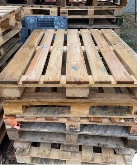 Photo of Wooden pallets (Bedford area) #1
