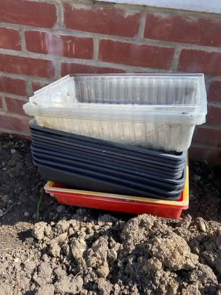 Photo of free Plastic seedyrays (West End, SO30) #1