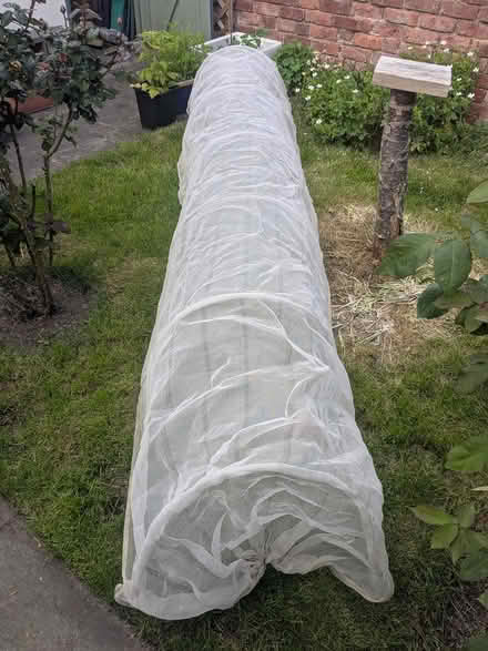 Photo of free Mesh tunnel for vegetable growing (M32 stretford) #2