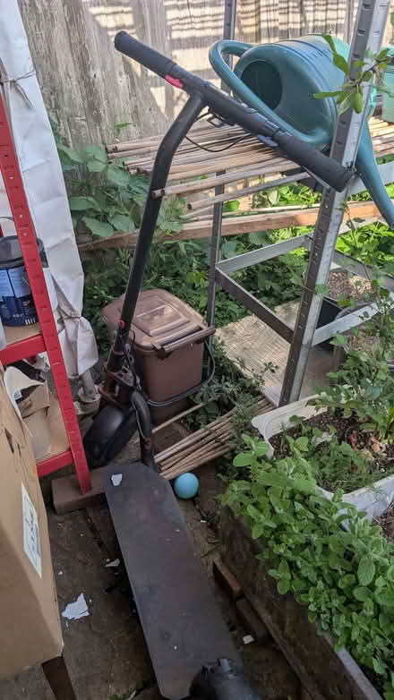 Photo of free Scooter (Mill Hill, The Hale HA8) #1