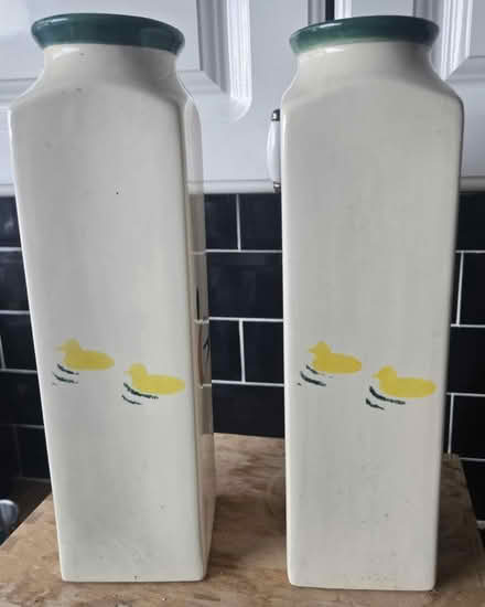 Photo of free Duck Vases (Aldershot GU12) #2