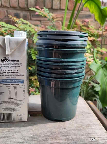 Photo of free 11 medium sized plastic plant pots (L1 Liverpool City Centre) #1