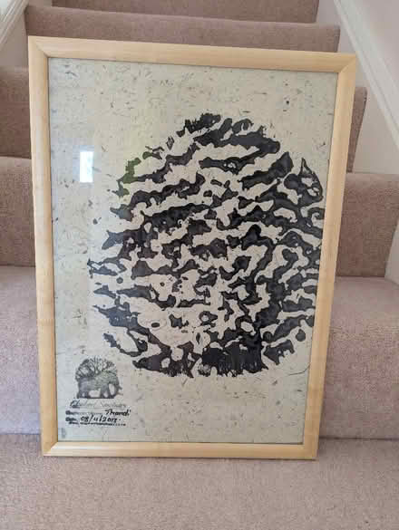 Photo of free Framed picture of genuine elephant footprint (Wimbledon SW19) #1