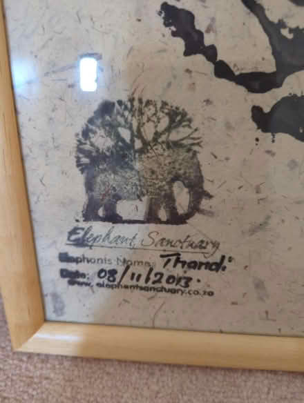 Photo of free Framed picture of genuine elephant footprint (Wimbledon SW19) #2