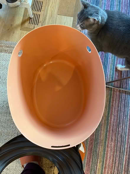 Photo of free cat litter top entry (Bloor & Islington) #1