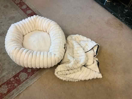 Photo of free Cream velour pet bed (SW10 Off Redcliffe Gdns) #1