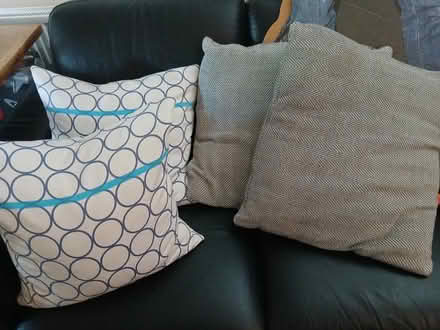 Photo of free Miscellaneous (Hillsborough S6) #2
