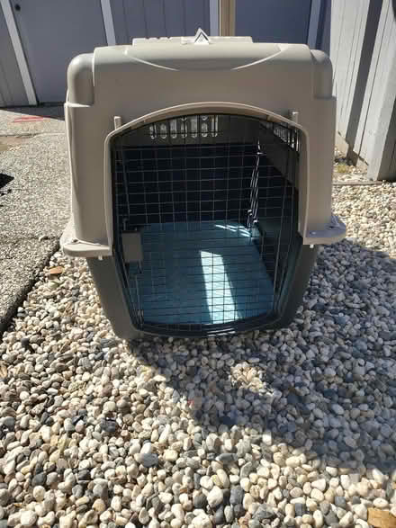 Photo of free large dog travel crate (downtown novato) #1