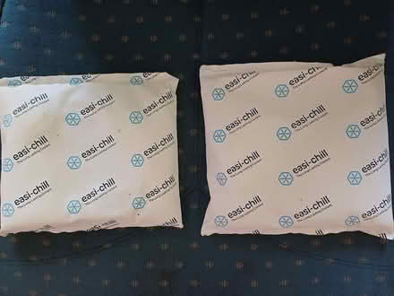 Photo of free cool packs x 2 (Charlton OX12) #1