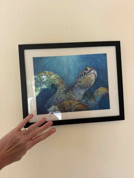 Photo of free Turtle Pastel Drawing (Lafayette) #1