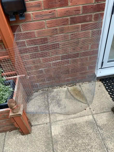 Photo of free Wire mesh panel for trellis etc (Portsmouth - PO4 Milton) #2