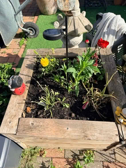Photo of free Large homemade planter (Whitton TW3) #3