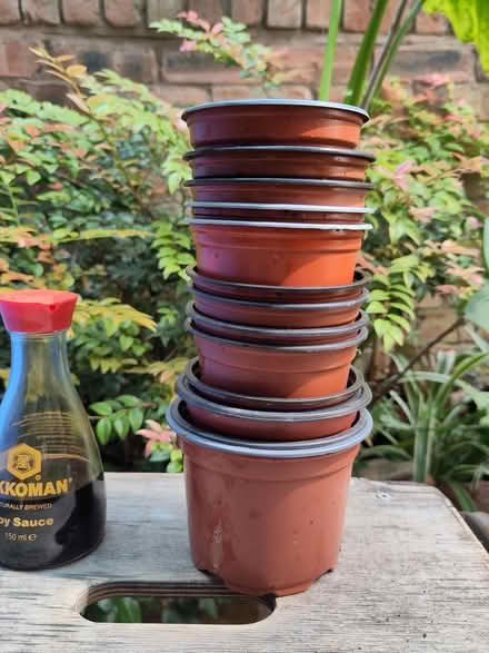 Photo of free 12 small plastic plant pots (L1 Liverpool City Centre) #1